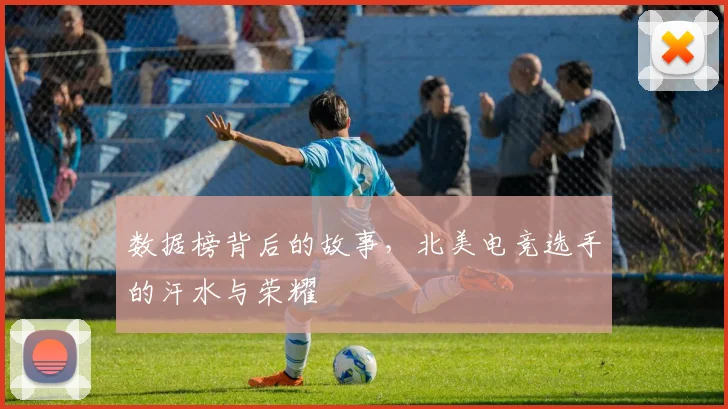 数据榜背后的故事，北美电竞选手的汗水与荣耀